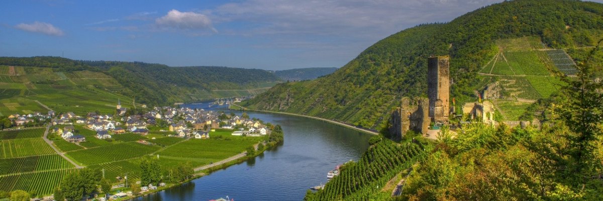 Burgruine Metternich